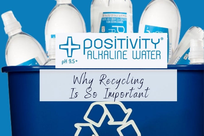 Why Recycling Is So Important for Sustained Positivity